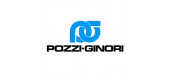 POZZI GINORI