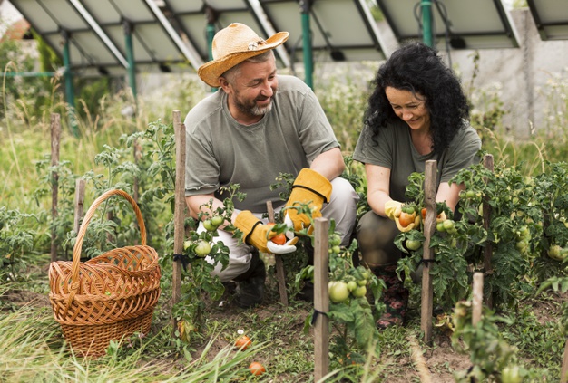 Le pompe per coltivare un orto in campagna