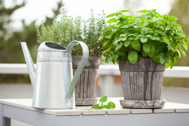 Le pompe per fare l'orto sul balcone