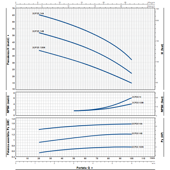Curve di prestazione pompa pedrollo 2cp